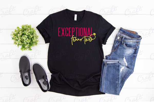 Exceptional Four.Two Shirt
