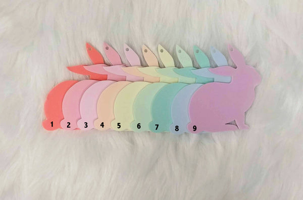 Personalized Acrylic Bunny Tag