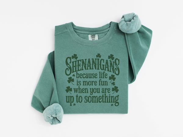 Shenanigans make life fun DTF