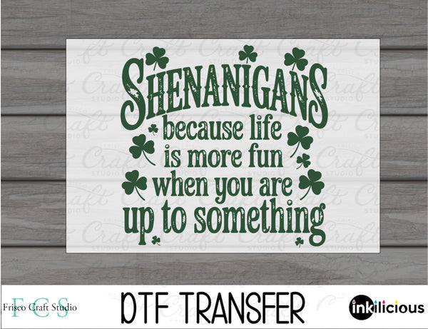 Shenanigans make life fun DTF