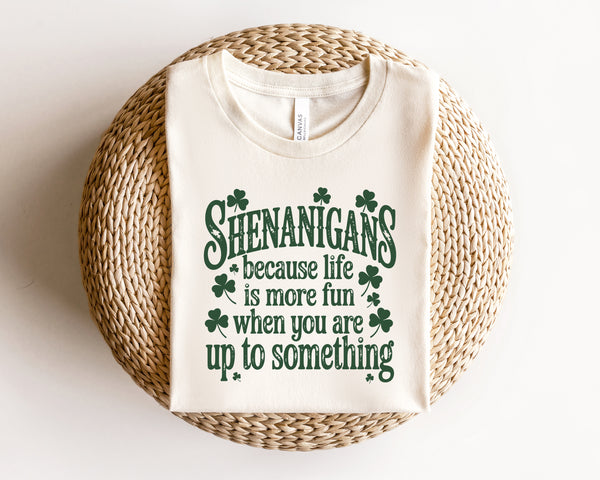 Shenanigans make life fun DTF