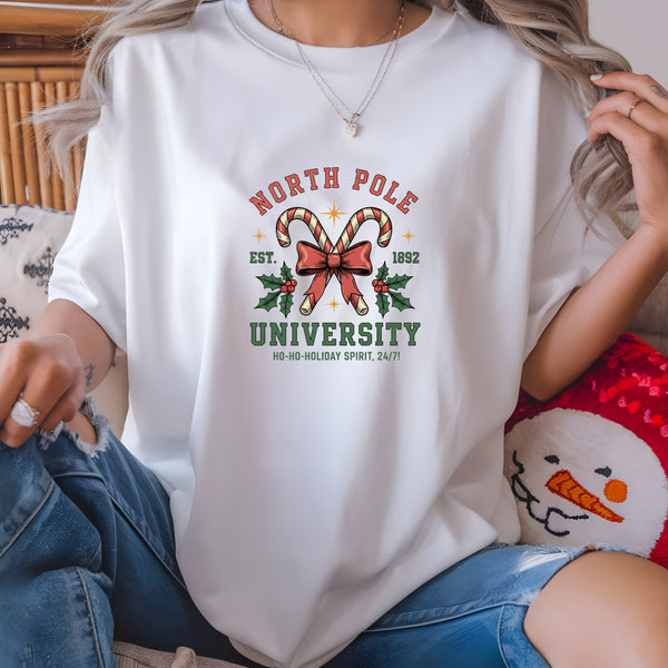 North Pole University Vintage DTF