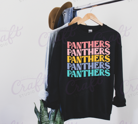 Panthers Colorful Sweatshirt